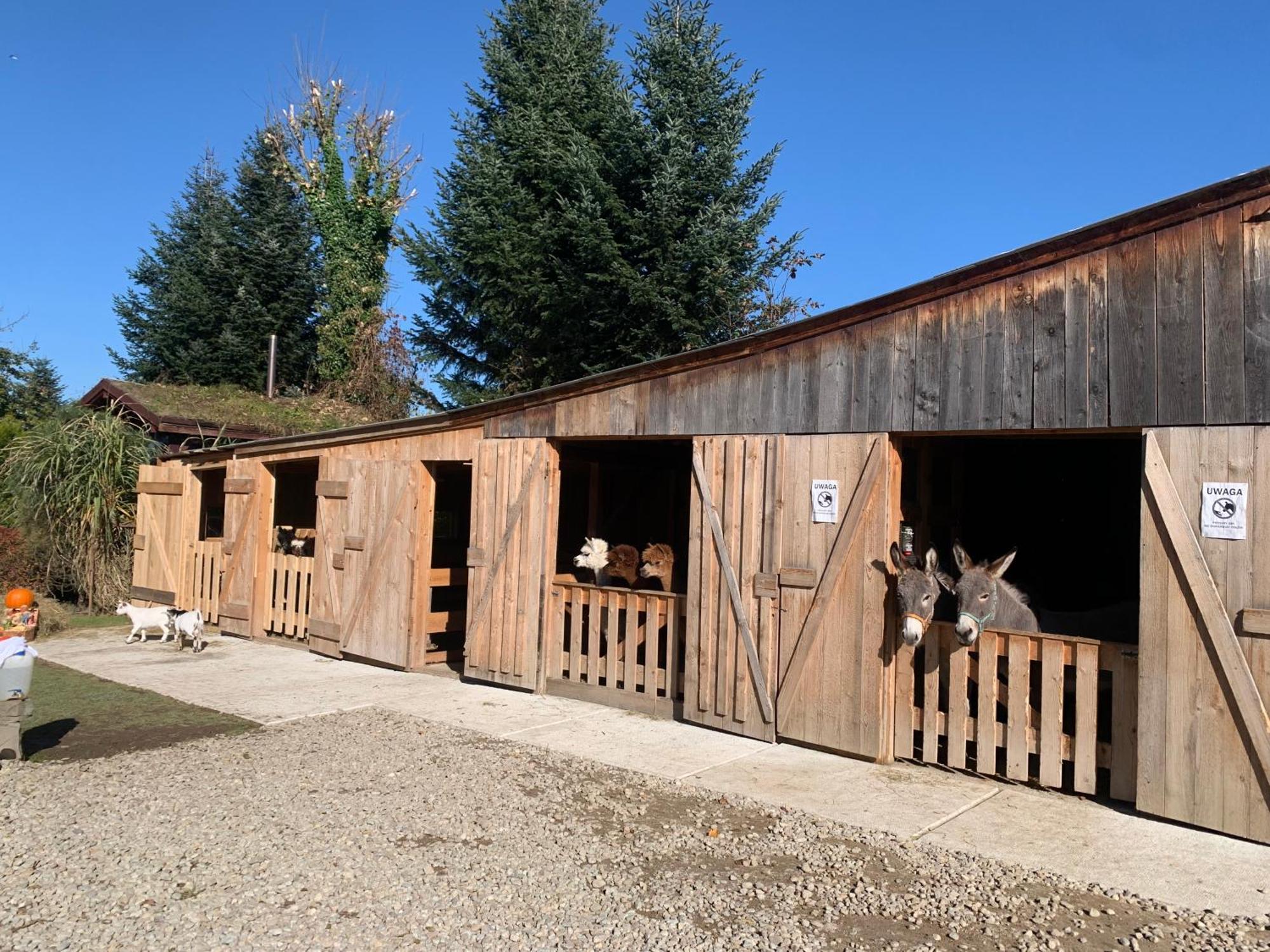 Pokoje Goscinne Jurgowianka Exterior foto